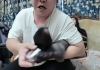 枫叶工作室缚美记车模婧伊的直播间37分钟