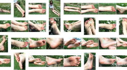 花草伴美脚[32P]