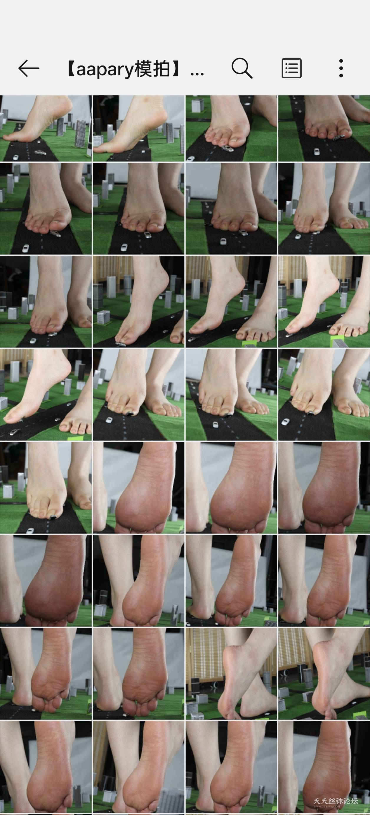 1000264672.jpg